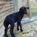 Marlene Ballesteros - @aa7851a222654ac - Twitter