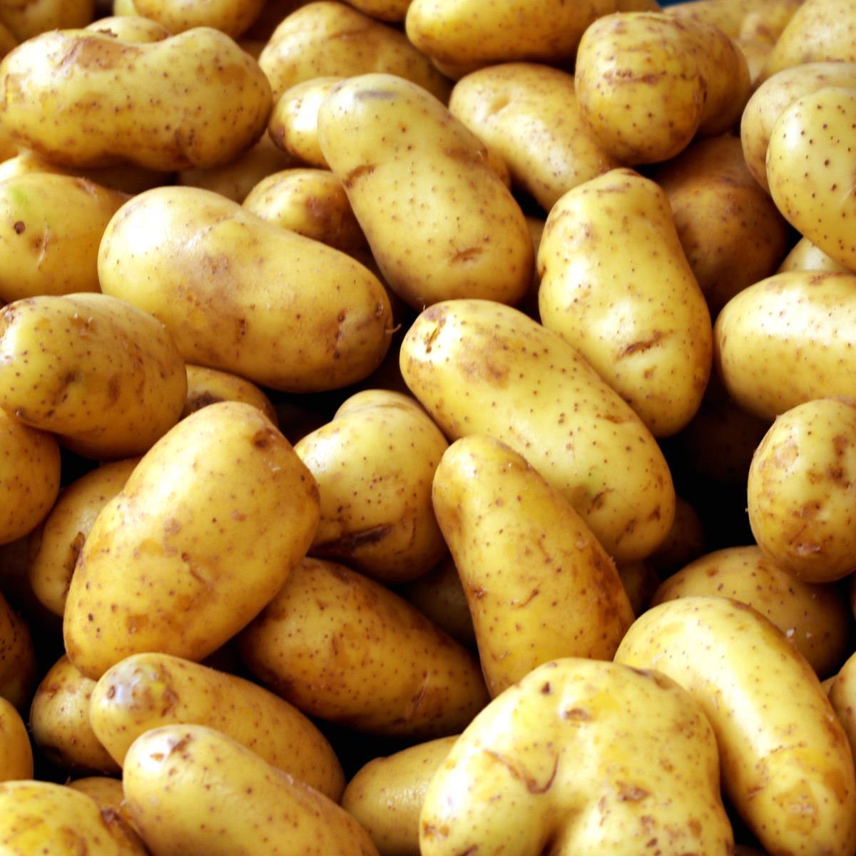 I am a humble Potato Lord, and the potatoes of earth are my children.