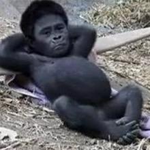 これでも山クラスタ（笑）