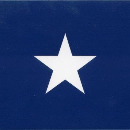 War Between The States Tweets - Georgian - Confederate