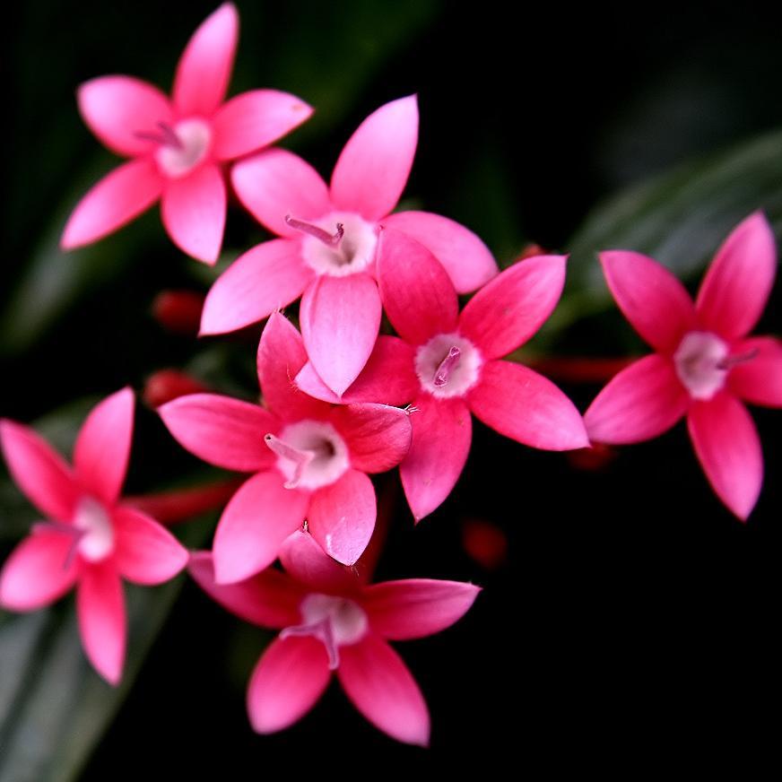 Dreamhunter_'s profile picture. Melómana, risueña y soñadora a más no poder... =)