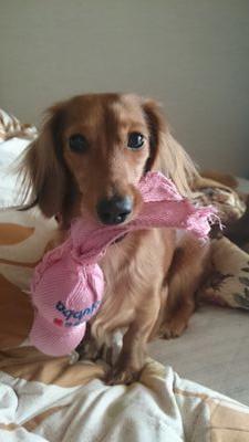 norinoripretty's profile picture. 