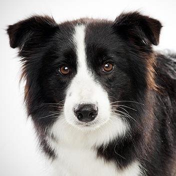 VPattel's profile picture. 