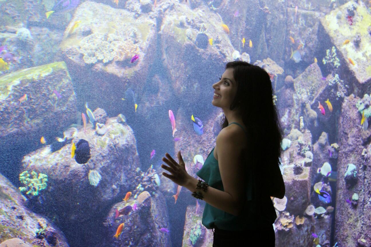 priyankabihani's profile picture. In awe of Life! It doesn't cease to surprise me.