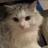 tokoro_1031's profile image