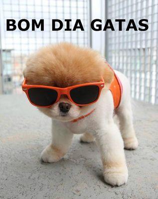 sou gamer