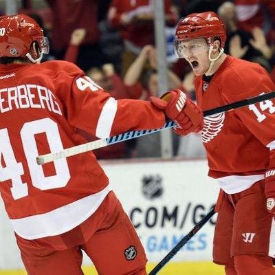 Red Wings hockey and Tigers baseball. Gustav Nyquist is ❤️
