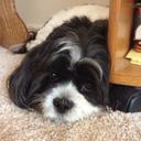 Howard Mortimer - @Hmpm1Howard - Twitter