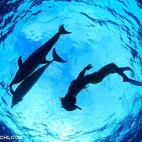 mirai4450's profile picture. 島ぐらし８年して、東京に戻りました！！ 赤坂、六本木、新宿、池袋、浦和あたりに出没します。仕事はソーシャルワーカー、大学講師、東洋医学セラピストなどしてます。     若者の社会的自立支援活動も２０年ほどおこない、島留学による就学就労支援、通信高校、高卒認定、看護学校などの入学相談、試験対策、就労支援、無料塾やってます