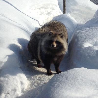 日頃の鬱憤のはけ口アカです