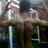 nur_muhammadnu8's profile image