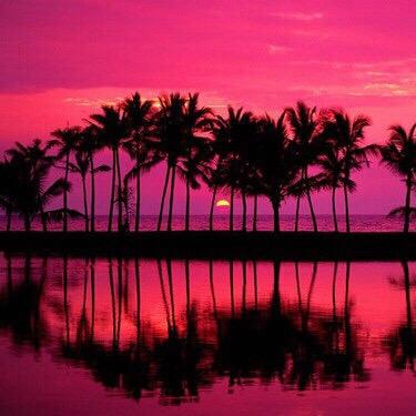 mr_p0tato3s's profile picture. A MC Gamer :) || i play on mineplex : P, find me there, my User is savannahhx ^^