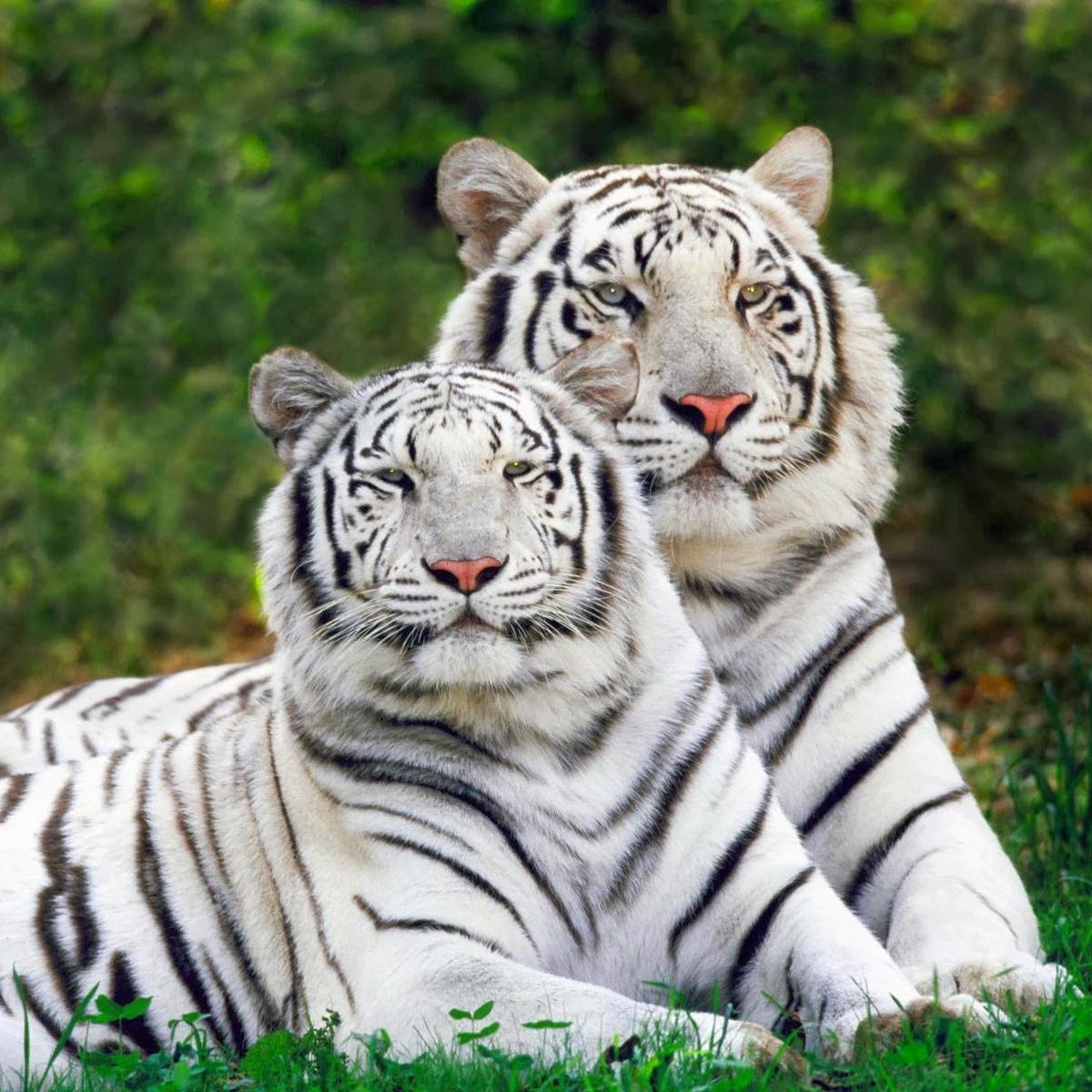 mariadark72's profile picture. 