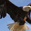 edwin osore - @OsoreEdwin - Twitter