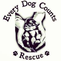 EveryDogCounts(@EveryDogCounts) 's Twitter Profileg