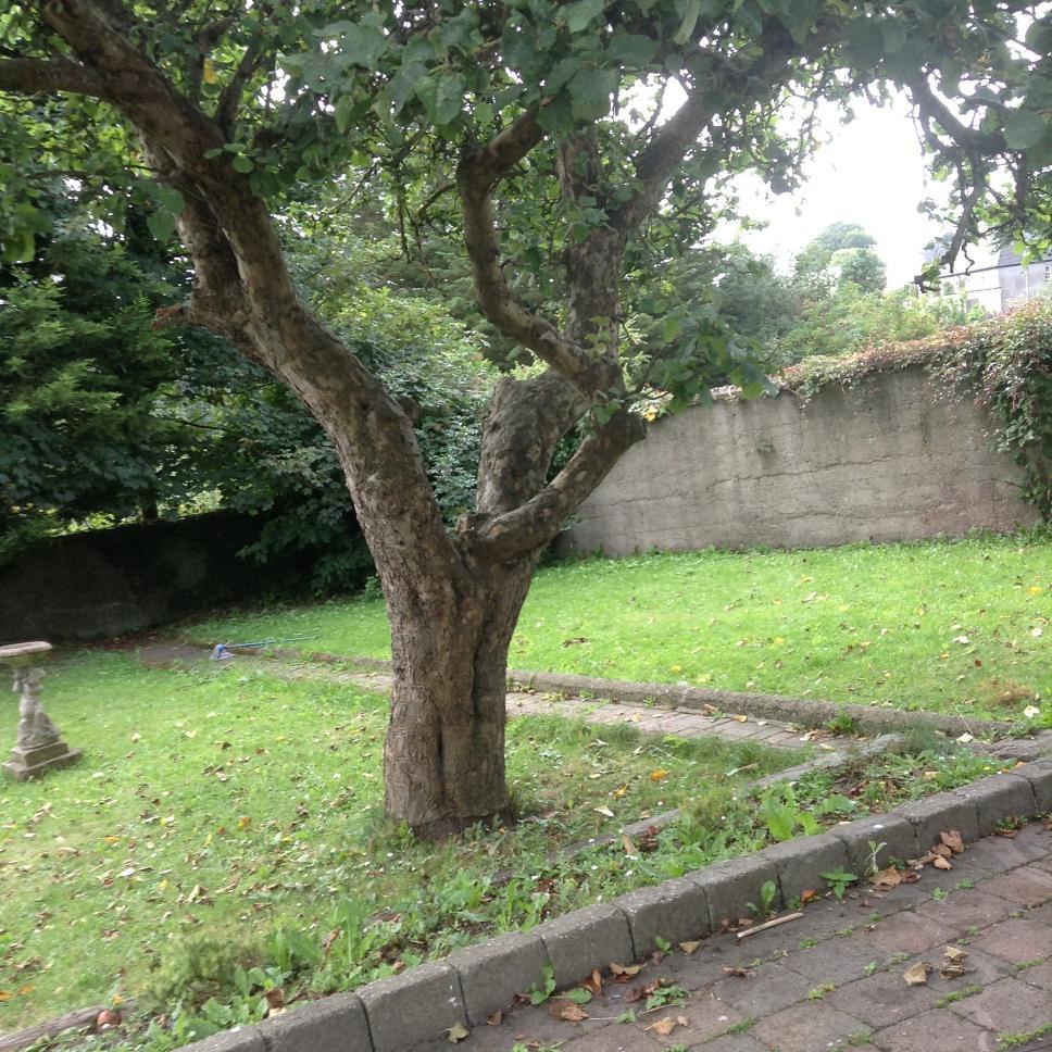 thegubugazzette's profile picture. Political social blogger/writer