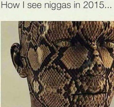 WildBunch_TTG's profile picture. 