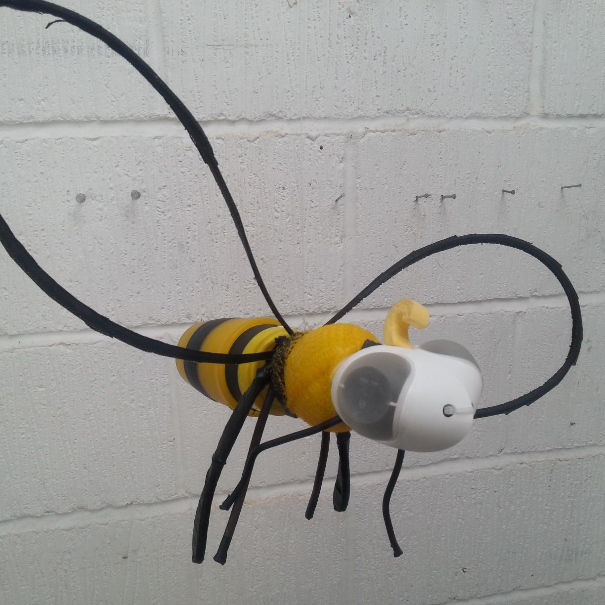 anna_twinam's profile picture. 