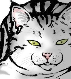はるほんさんのプロフィール画像