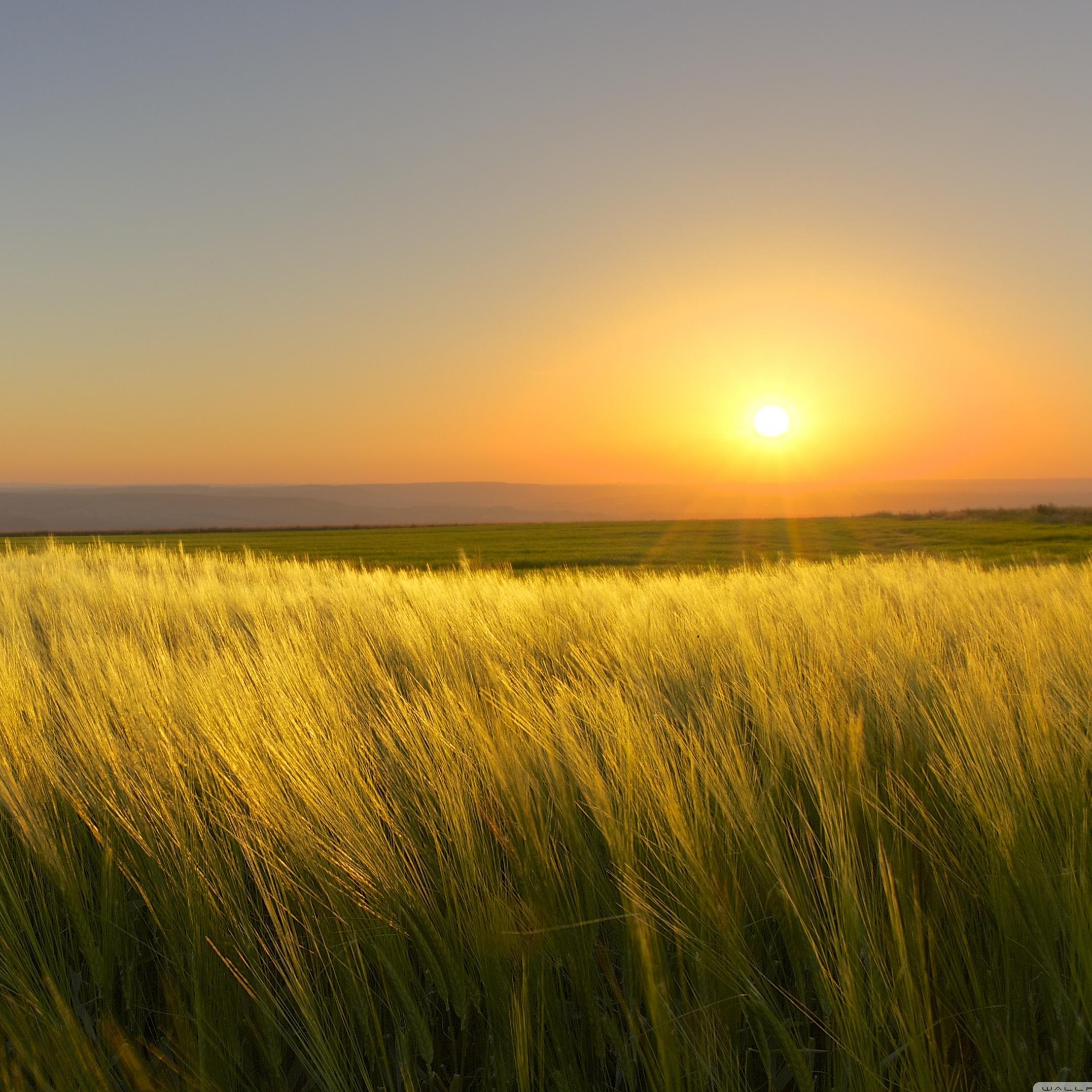 GHazalibenghazi's profile picture. 