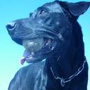 Mario Trueba - @artedeoriente - Twitter