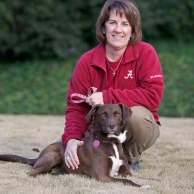 BrindleyJoy's profile picture. 