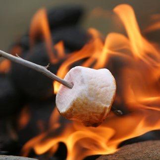 The S'mores Project seeks to find s'more ways to s'more! Share your s'mores experiences with us, and we will post our favorites. How do you s'more?