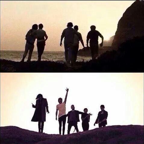 Belieber , Directioner e Lovatic