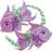 riderpisces's profile image
