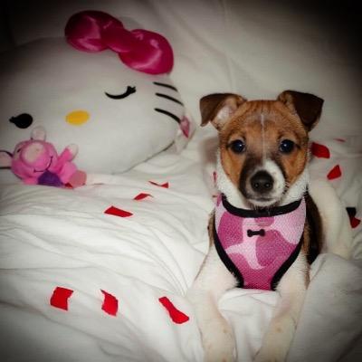 Arg120_'s profile picture. 