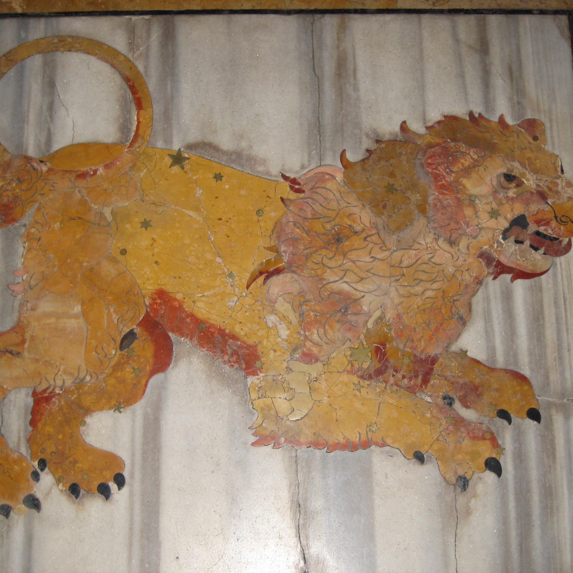 invelabro's profile picture. 