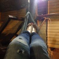 oco (@oco7979) 's Twitter Profile