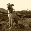 Harvey Mann - @hdrmann - Twitter