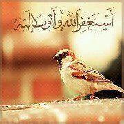 ‏‏‏الياقوت للعقار(م/ البيت المثالي) لدينا عروض مميزة شقق وفلل دويبلكس للبيع وللايجار وأراضي تجاري وسكنية ذات مساحة مميزةللتواصل عبر الجوال0540093911او 050942693
