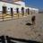 vicente_poz's profile image