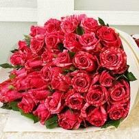 MiaOreski's profile picture. Dreamer, Jerk