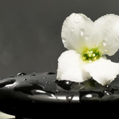 spadaykorea's profile picture. beauty & health
동.서양의 조화로운 만남.
한국인의 새로운 SPA 문화를 만들어  가는 곳
문의.02-793-0777