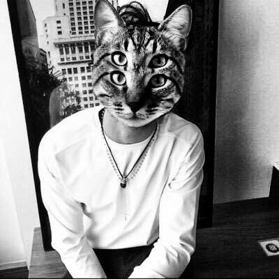 vvhitetaxis's profile picture. F with this style