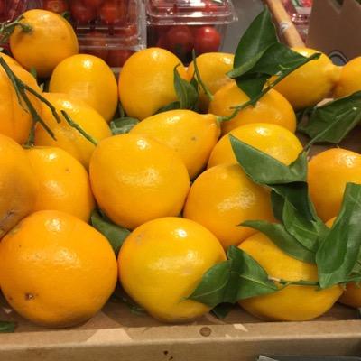 bethany_daily's profile picture. 