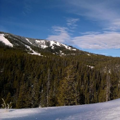 Environmental scientist with an adoration for nature, sports, and life.