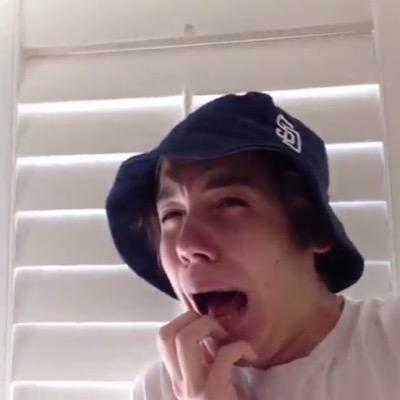 bageldinomatt's profile picture. 