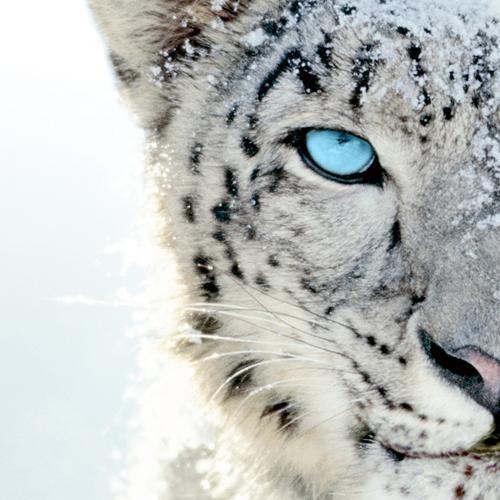 d_hayaty's profile picture. 