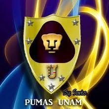 buena onda amigable