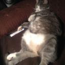 Tanja Hoffmann - @Postfrisch - Twitter