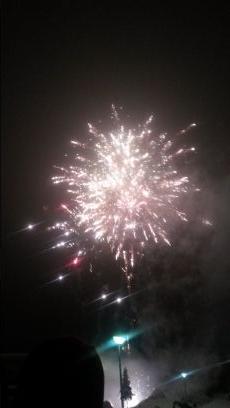 MadAnimalLover's profile picture. 