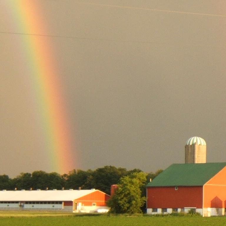 Hog & crop farmer, Married to wonderful wife, 3 busy kids, OAC 94, Perth County Fed Ag & OFA Policy & Advisory Board, Wallace Minor Soccer