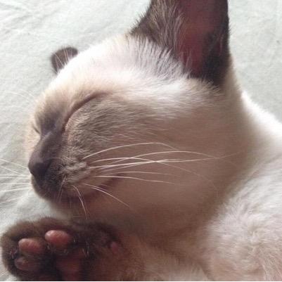 hiro_maschineH's profile picture. EBM, Dark Electro, Future Pop, electro pop, alice auaa, gothic fashion, reggae, R&B group,NJS, Kyoto, USJ, TDR