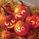 jay pat - @japat72 - Twitter