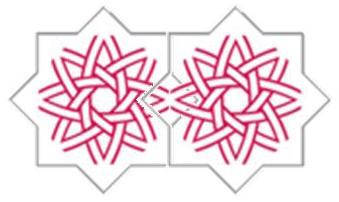Project Lesmina's is voor LBTQ vrouwen met een islamitische achtergrond   lesminasweerbaarheid@gmail.com