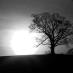 Oakbeck Forge (@oakbeckforge) Twitter profile photo